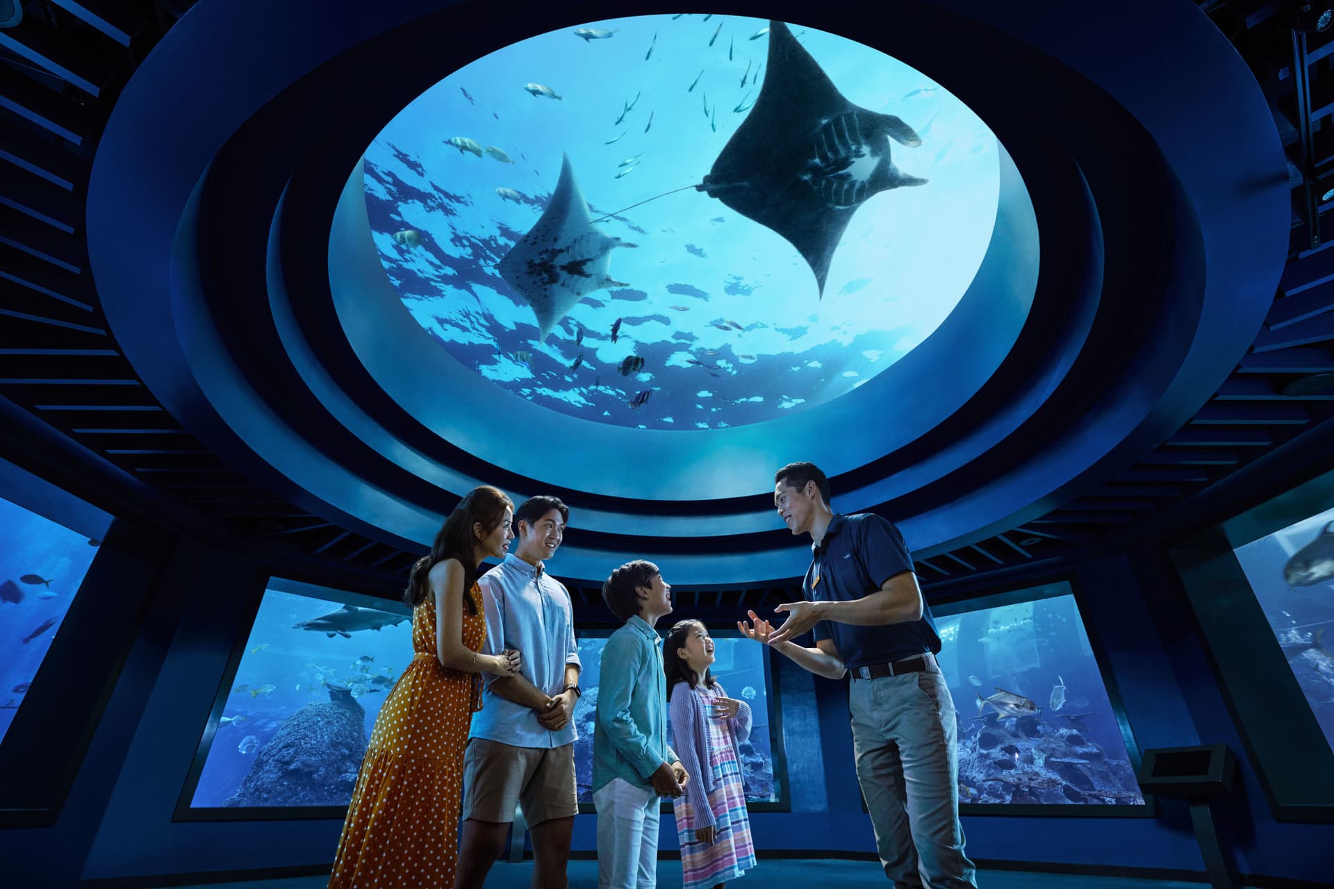 Singapore Oceanarium Ticket - image 8