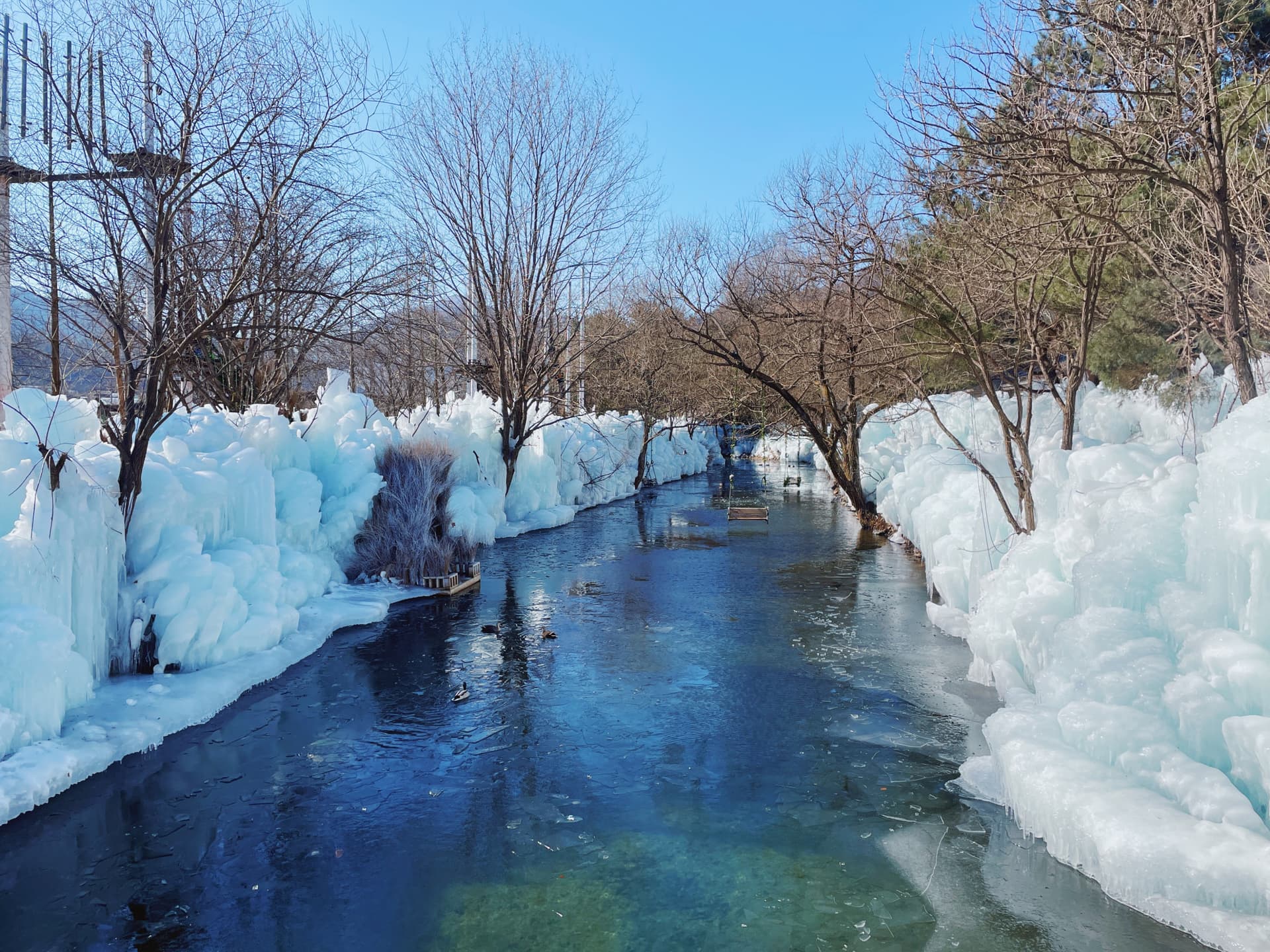 Gyeongju Kookmin Healing Park, Daegu Seomun Market, Songhae Park Ice Wall Full-Day Tour from Busan - main image